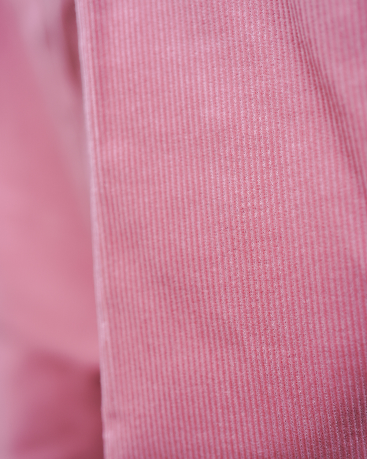 PONTOGLIO CORDUROY｜NEAT Chino - Pink｜NEAT