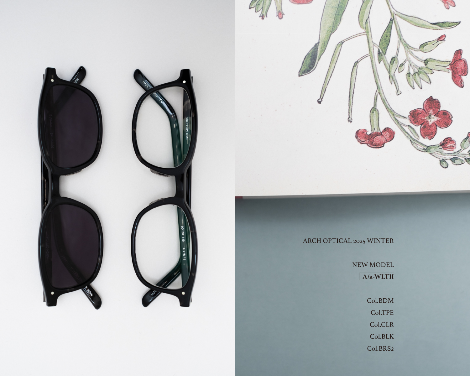 〈A/a-WLT Ⅱ〉ARCH OPTICAL｜NEW MODEL