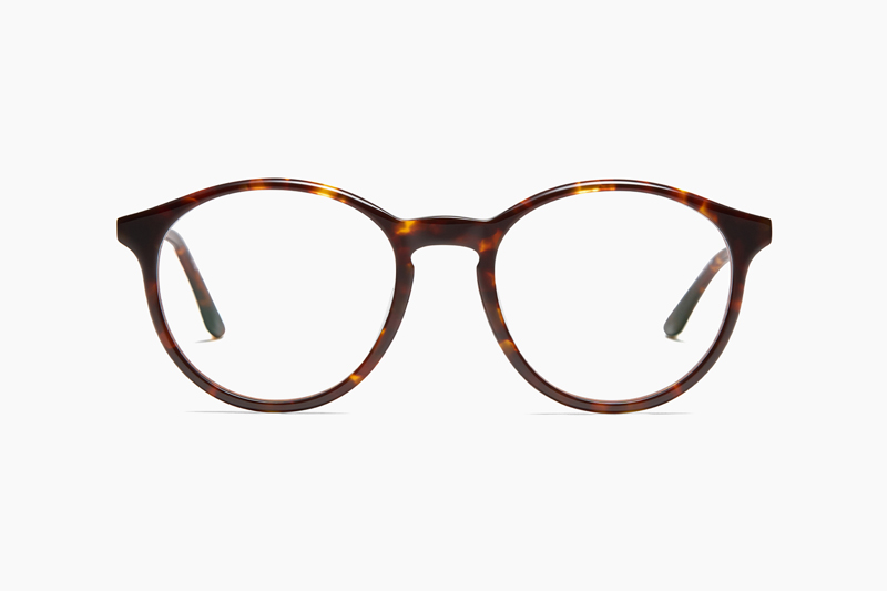 JAVA – TORTOISE｜PETER AND MAY