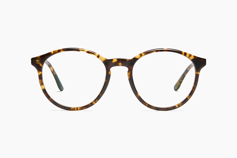 JAVA – YELLOW TORTOISE｜PETER AND MAY