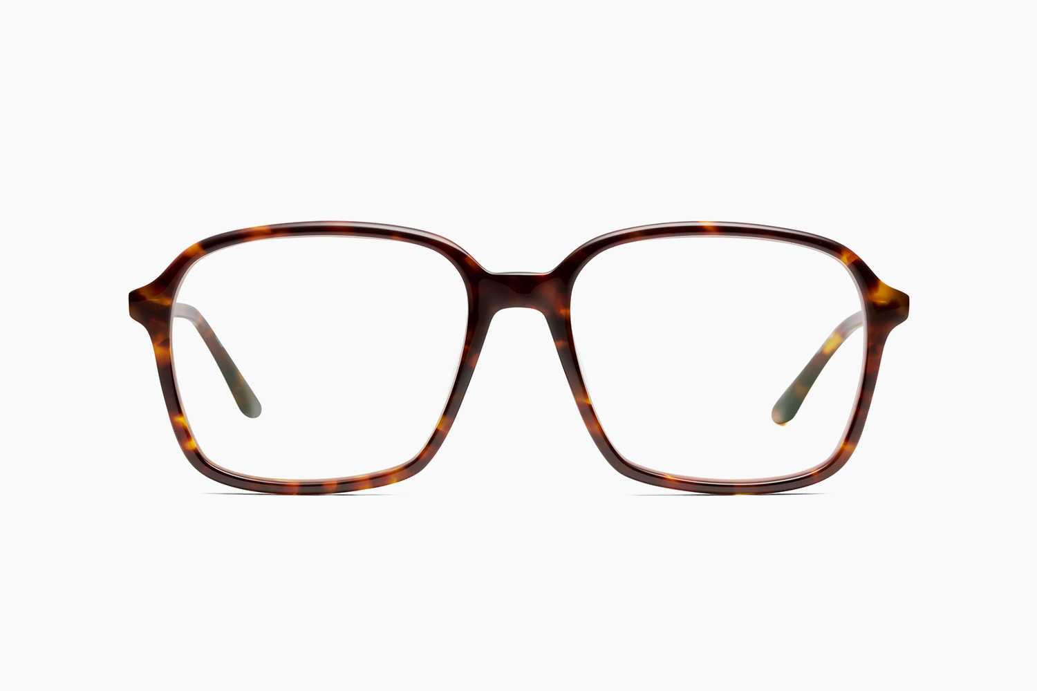 MARGUERITE - TORTOISE|PETER AND MAY