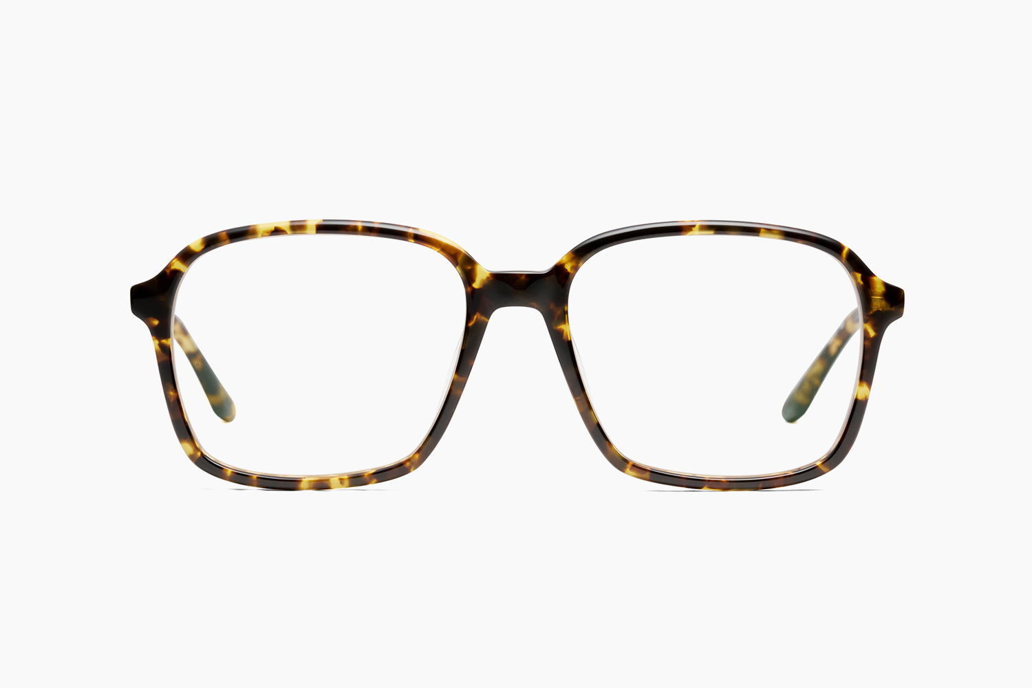 MARGUERITE - YELLOW TORTOISE｜PETER AND MAY